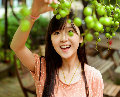 xiee  