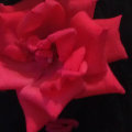 ������  
