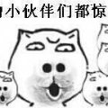 201302044122  