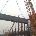 dahai0606  