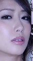 yang2014  