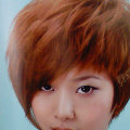 weipengfeidai  