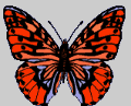 mcu5i51  