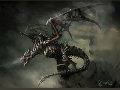 ��Ӱ666  