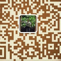jzj813451248  