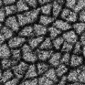 as1561561212  