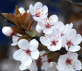 wojiaoheihei  