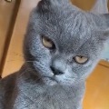 ��ħ  