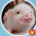 ��è��  