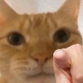 1192097919  