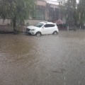 15934046543zhan  