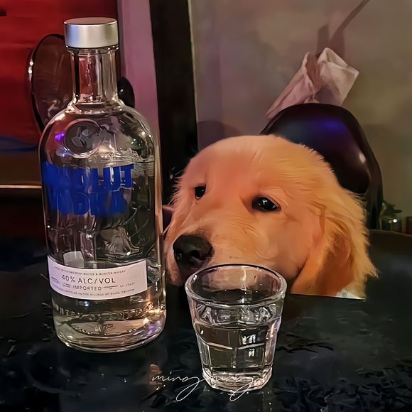 zz����  