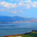 two_blue  
