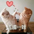 ǧ��ī��  