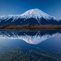 kaobaishu  