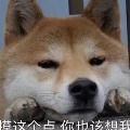nmkj2  