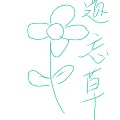 chuchua  