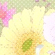 fddgdg1122  