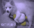 С����123456  
