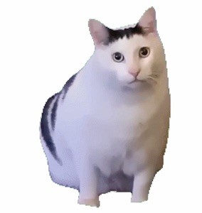 ���˧����  